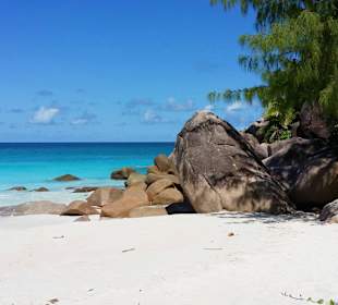 Traumstrand auf Praslin