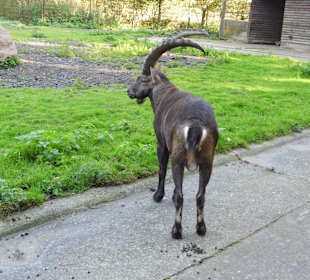 WP LH Herbst Impression