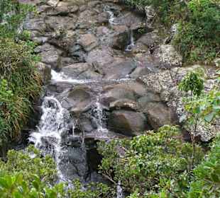In der Nähe des Wasserfalls Alexandra