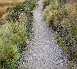 Cotopaxi Nationalpark