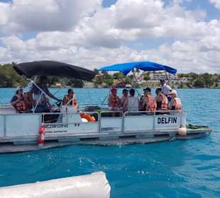 Bacalar