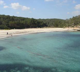 Strand Playa S'Amarador (6)