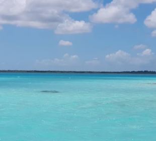 Sieben farbiges Wasser in Bacalar