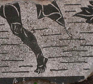 Caracalla - Mosaik Athlet