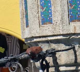 Stadtrundgang Afandou