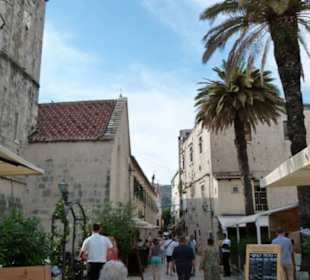 Es gibt immer wieder was schönes zu sehen