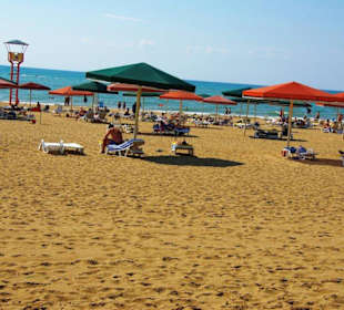 Beim Strandspaziergang