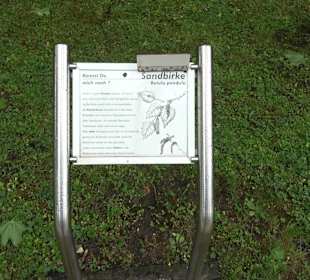 Baumlehrpfad Glacis Park