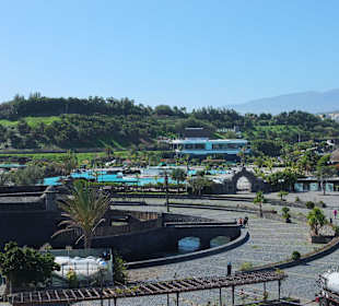 Blick zum neuen Palmenpark