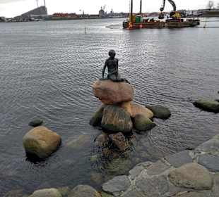 Stadtrundfahrt Kopenhagen