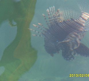 SUNRISE Grand Select Crystal Bay Resort