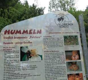 Naturinfopfad Weggental