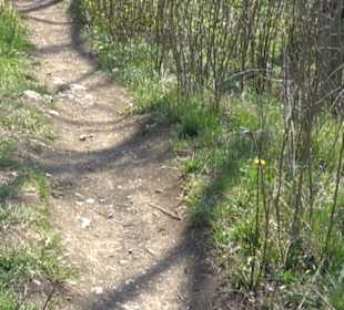 Wanderung Florianrunde