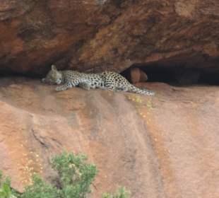 Pilanesberg Nationalpark