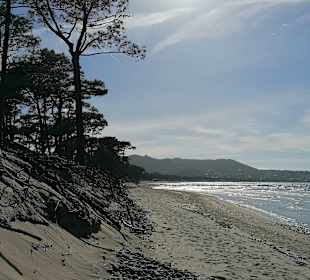 Strand Calvi