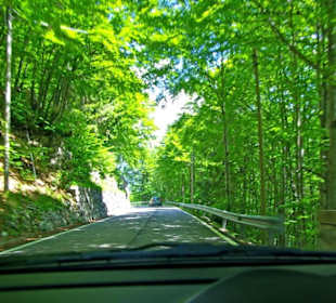 Plöckenpass 2010 die ganze Strecke