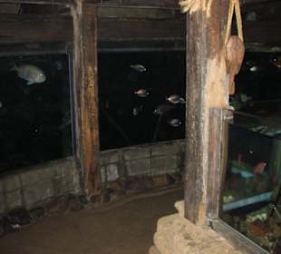 Im alten Ostseewrack