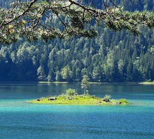 Insel im Eibsee