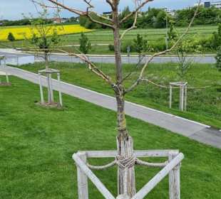 Die Gartenschau