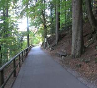 Triberger Wasserfälle