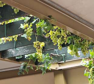 Wandern Georgioupolis