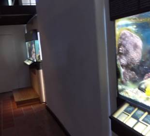 Jura-Museum