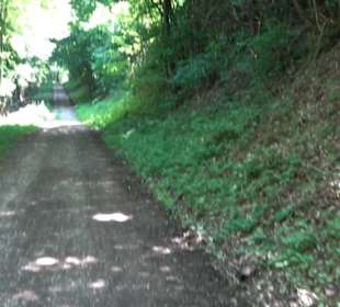 Premiumwanderweg "hochgelegen"