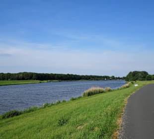 Eindrücke vom Werdersee im Frühling