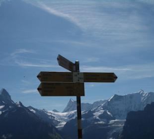 Wegweiser helfen den Weg zu finden