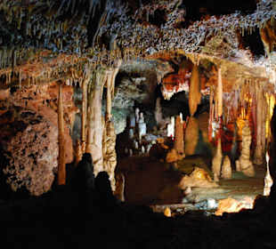 Ein traumhafter Anblick