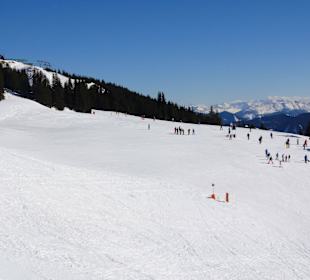 Die Pisten am Pründlkopf