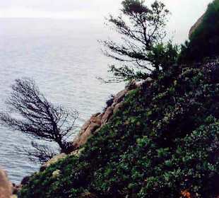 wunderbare Rundfahrt