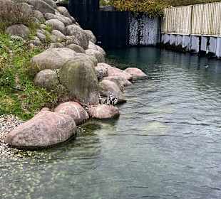 Wildlands Zoo in Emmen 