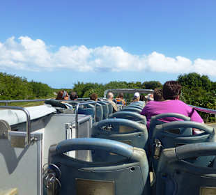 Das Open-Air-Deck des Shuttlebuses