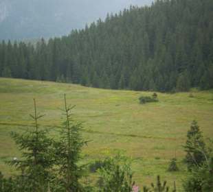 Tatrzański Park Narodowy