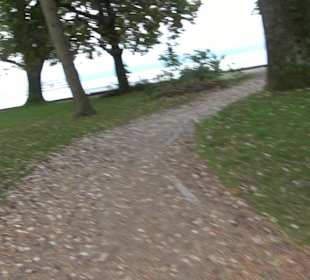 Kressbronner Lesepavillon