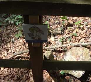 Teufelskanzelsteig Bad Griesbach