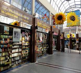 Rundgang durch den Lambertihof