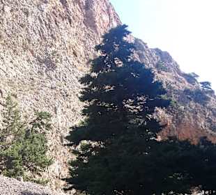 Wanderung durch die Imbros Schlucht