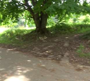 Premiumspazierweg Früchtetrauf-Leisawegle