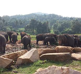 Rohan Shops & Tours im Club Hotel Dolphin