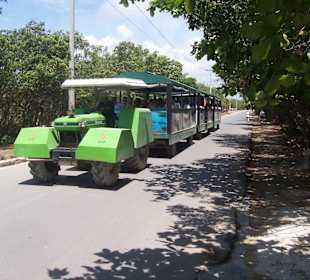 Bimmelbahn zur Festung fahrend