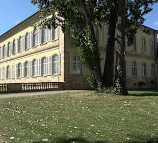  Schloss Hohenheim