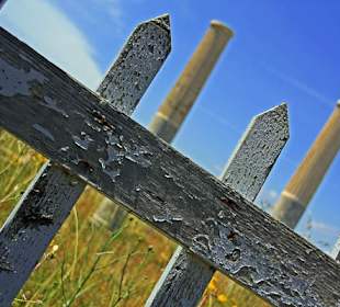 Ruiny na wyspie Delos