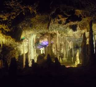 Ausflug - "Drachenhöhlen"