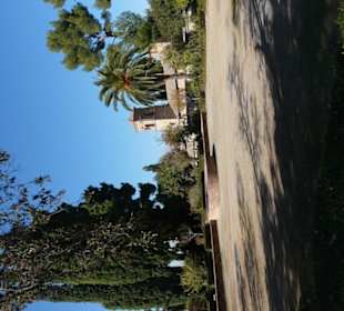 Dettaglio del giardino