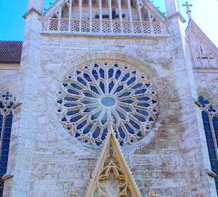 Rose an der Bachkirche