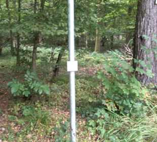 Altwege Rundwanderung Bebenhausen