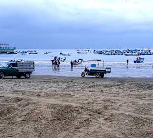 Rundgang Puerto Lopez