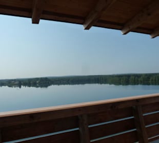 Ausblick vom Aussichtsturm am Murner See